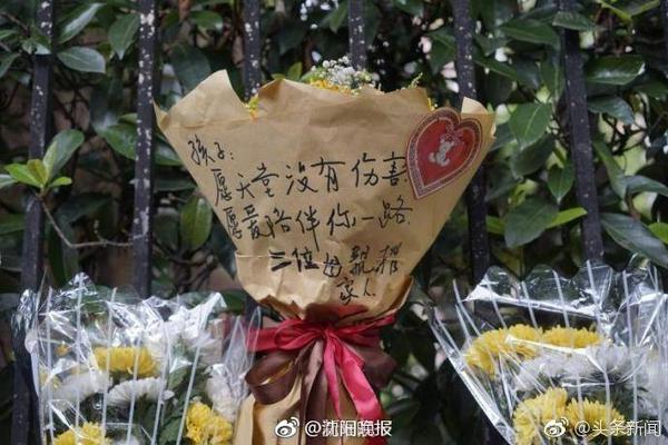 记者：马奎尔已加入曼联季前巡回赛，他于昨晚抵达芝加哥